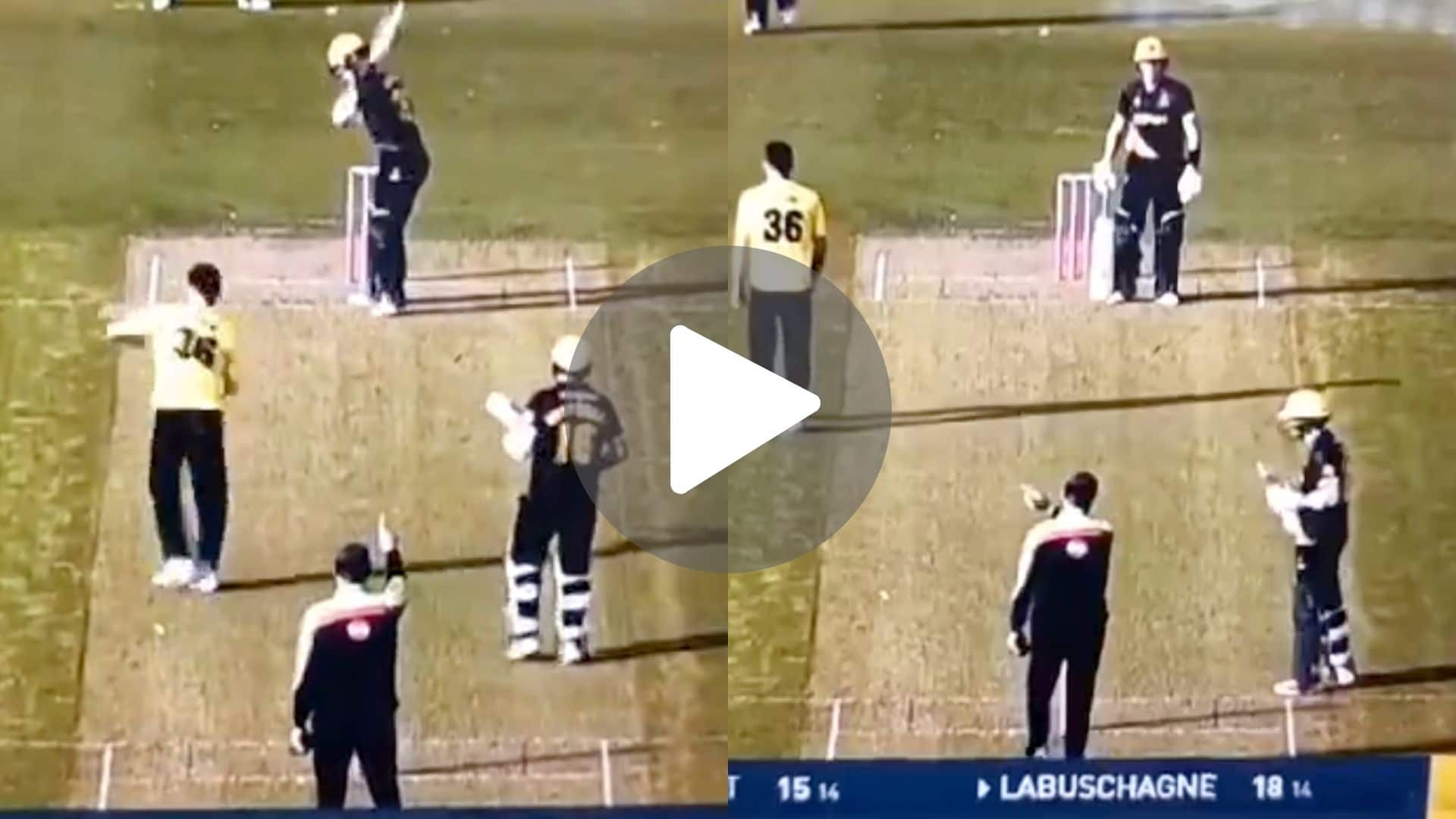 [Watch] Umpire Asks Labuschagne To Go Back As He Delays To Walk Off After A Soft Dismissal